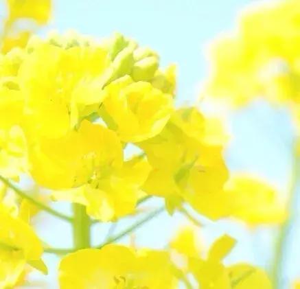 每一次不幸、每一次失败、每一次心痛都会孕育同样或更大的成功