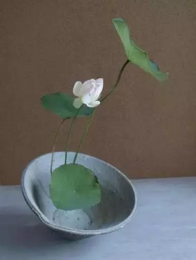 生命里需要这八戒