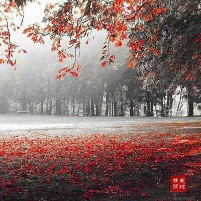 人生,简单一点好 人生,简单一点好