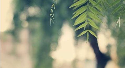 微信霸气一句话经典语录