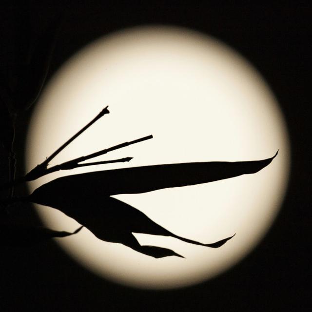 关于脾气脾气这东西