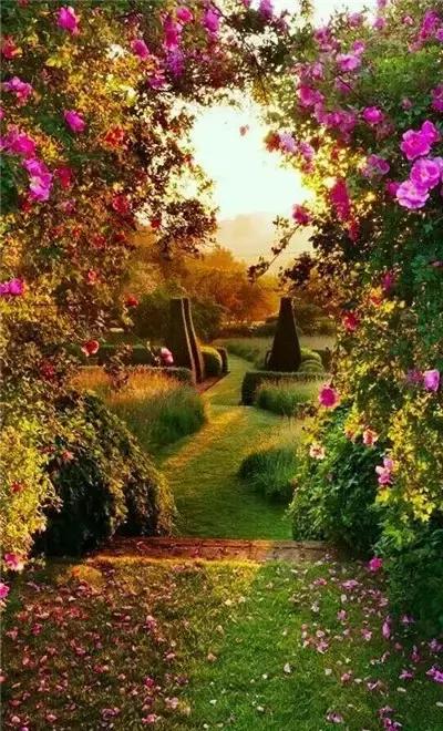 世间万物都是相互的