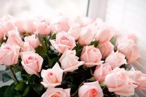 一生何求?(醒脑好文) 一生何求?(醒脑好文)