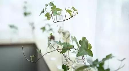 看不透的人心，经历不完的酸甜苦辣