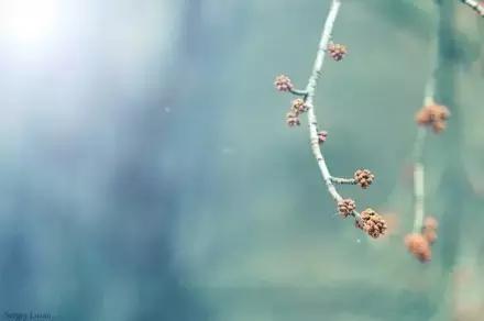 所谓心事，不过是不如己意