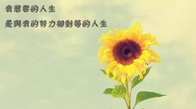 早安励志句子 早安心语正能量语录