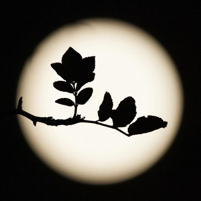 关于脾气脾气这东西