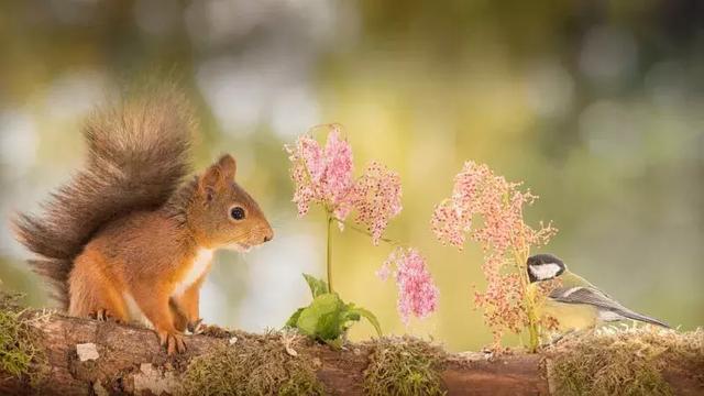 人心能换来人心吗？(句句见血)