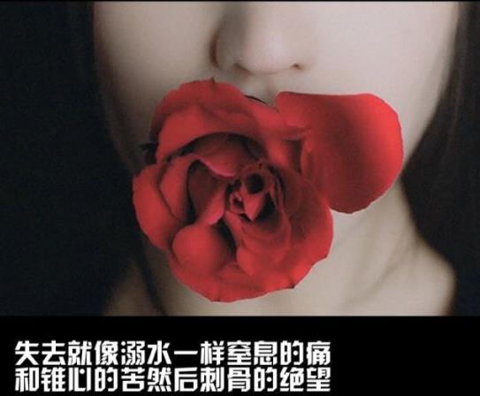 值得收藏的郭敬明经典语录