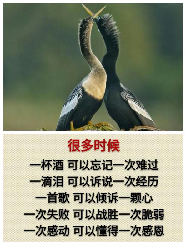你累吗？（累就看看）