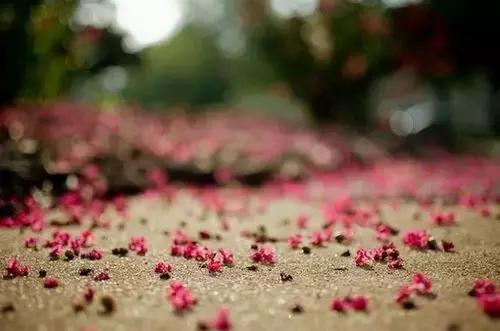 微笑如花，一路芬芳