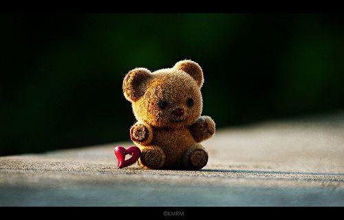 生活，因为无能为力，所以顺其自然；因为心无所恃，所以随遇而安