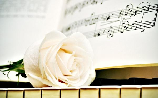 十条有意境心情语录