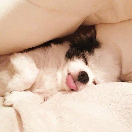 精选微信朋友圈语录 精选微信朋友圈语录