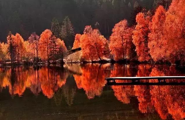 岁月,因情而丰盈 岁月,因情而丰盈