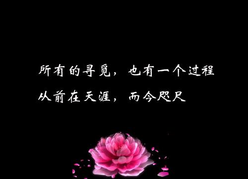 我敬往事一杯酒，从此再也不强求情感语录