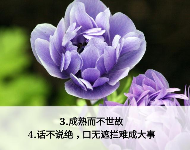 放下面子做人，但不可弯腰
