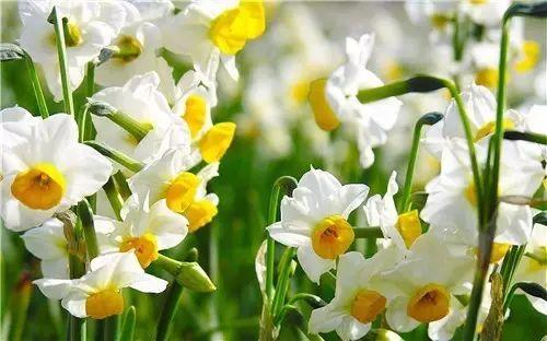 真正的放弃并不会张扬而是慢慢不联系 真正的放弃并不会张扬而是慢慢不联系