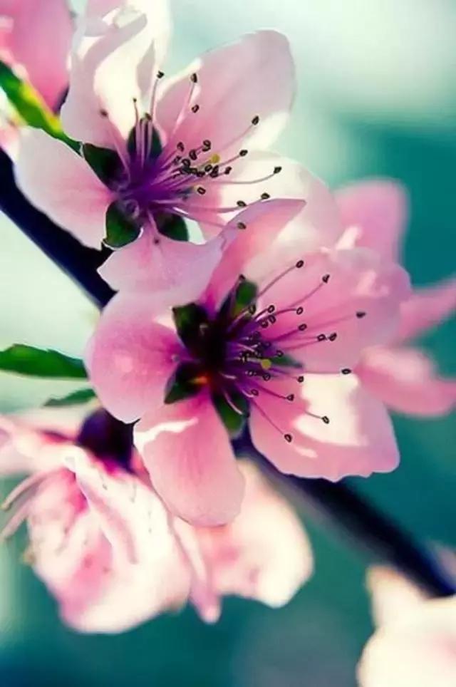 你知道别人为什么喜欢你吗？