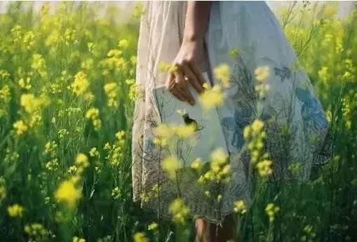 在心里种花，人生才不会荒芜