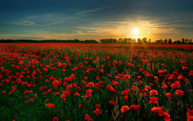 90后正能量语录