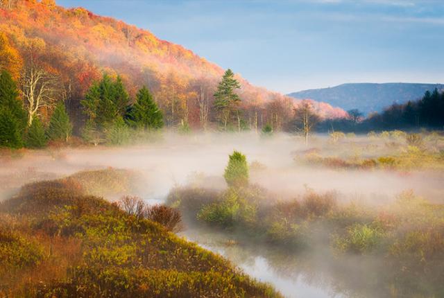 可不可以等等我，等我幡然醒悟