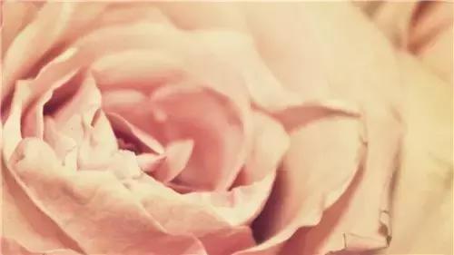 错过了喜欢，是多么猝不及防