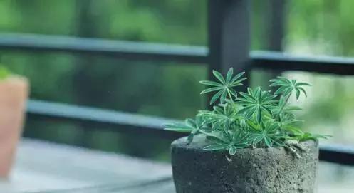 心就一颗，别累坏了ta