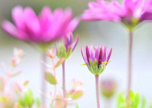 活在当下，且行且珍惜，美好的，留在心底；遗憾的，随风散去