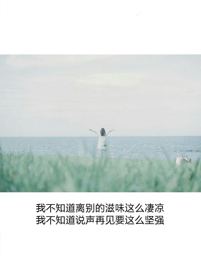 曾让你深刻动容的网络经典语录