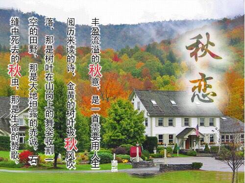 读懂了秋就读懂了人生