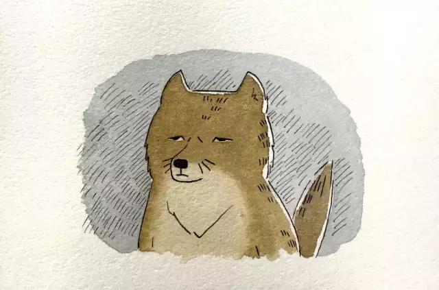 生活充满小确丧，还好有你让我不绝望