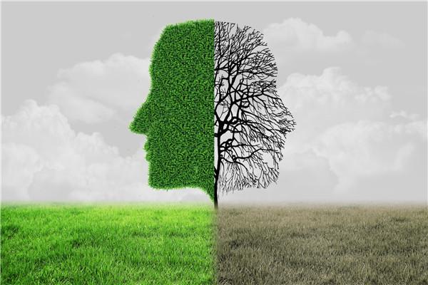 2017经典感悟人生语录(至理名言) 2017经典感悟人生语录(至理名言)