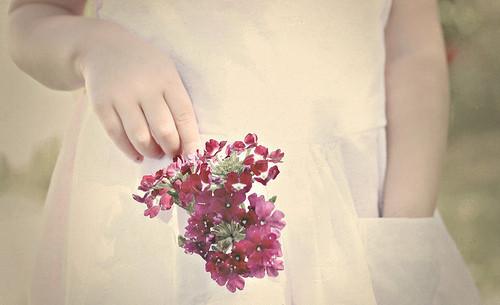 毒鸡汤语录 毒鸡汤语录