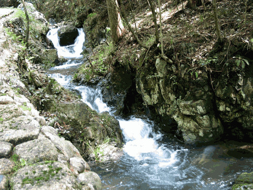 非常经典的人生感悟(写的真好) 非常经典的人生感悟(写的真好)