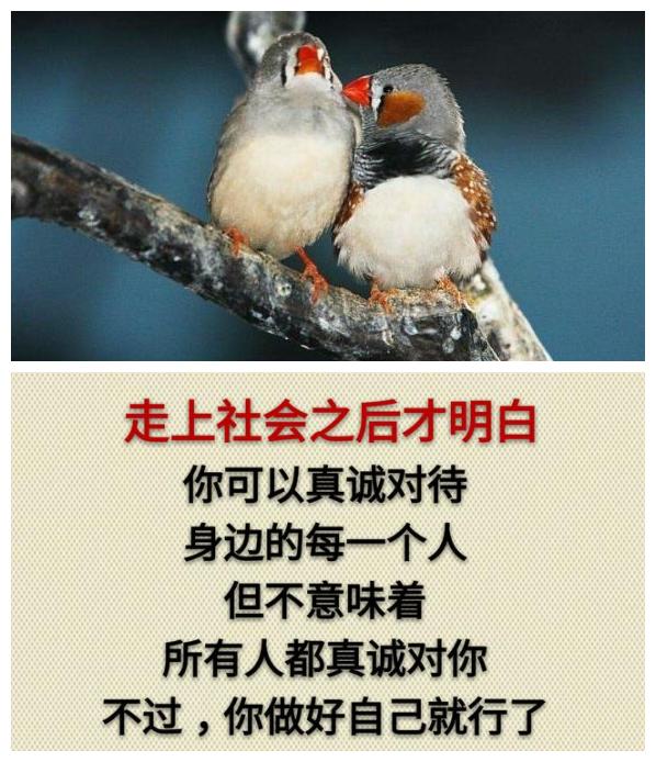 你累吗？（累就看看）