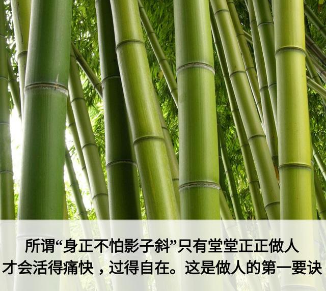 做人，先学会写这七个字