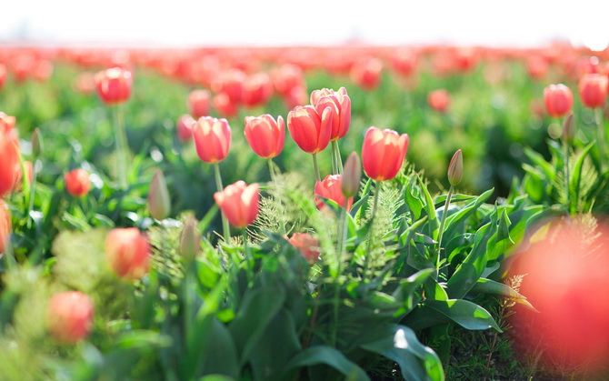 一句话正能量语录