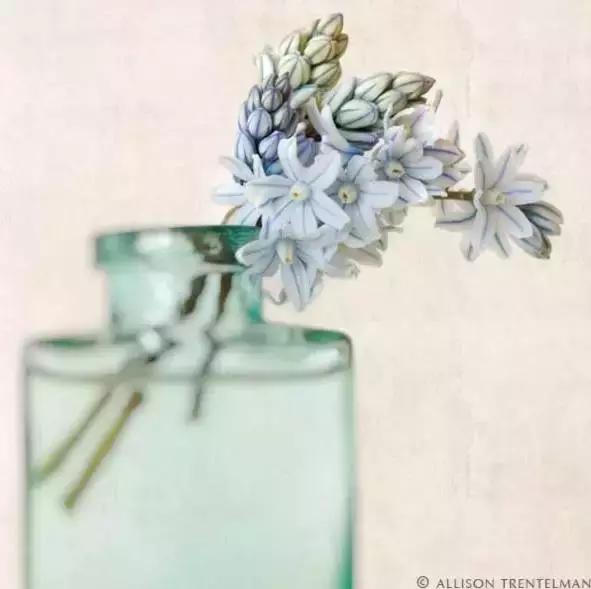 陌上花开,绽放一世等待 陌上花开,绽放一世等待