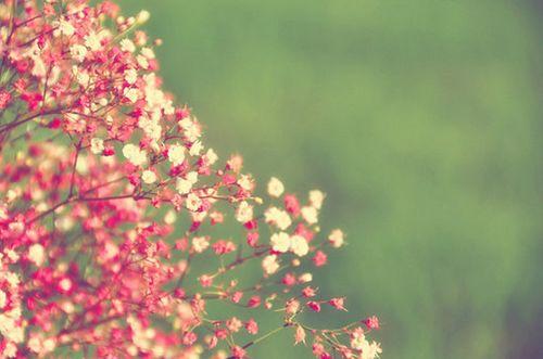 朋友圈里最火的人生感悟语录