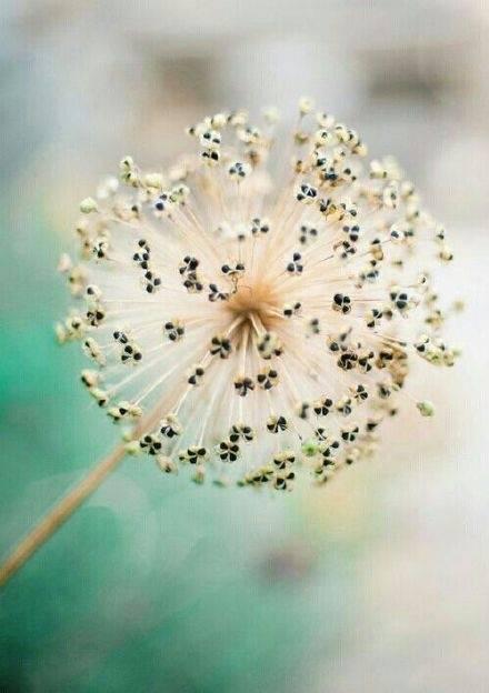 看清了很多人，却不能随意拆穿