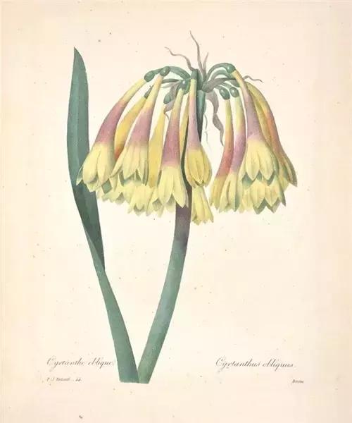 生命中所有的相逢,都是命中注定 生命中所有的相逢,都是命中注定