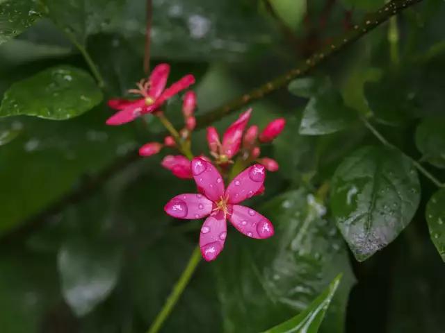 说好天长地久，不过是曾经拥有；坚信一生相守，却只是短暂邂逅