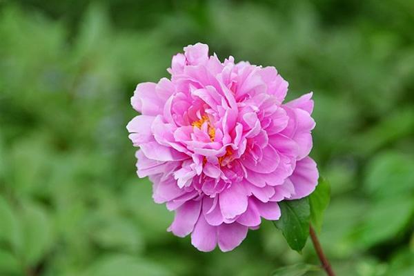 或许，这就是幸福