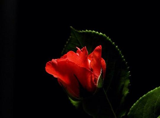 易中天琢磨计谋是没有用的