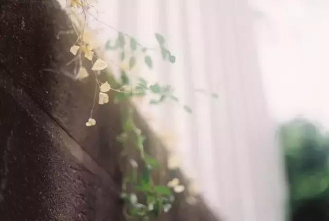 不放弃，就会有希望