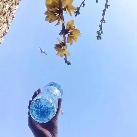 感悟人生的经典语录，富有哲理，值得回味