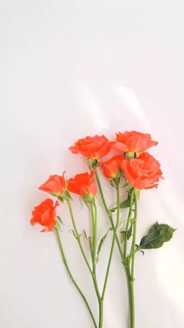 好好经营你的中年，不管多忙，请看看