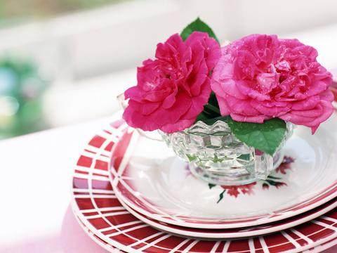 那些说到心坎里的心灵鸡汤经典语录,句句走心 那些说到心坎里的心灵鸡汤经典语录,句句走心