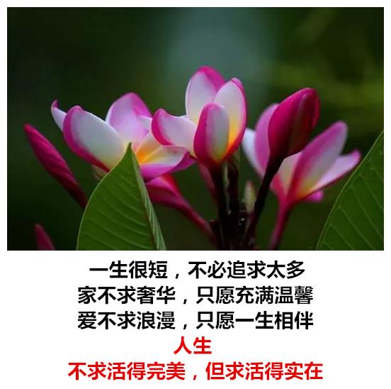生活有苦有甜，爱情有闹有和，心情有悲有喜，日子有阴有晴